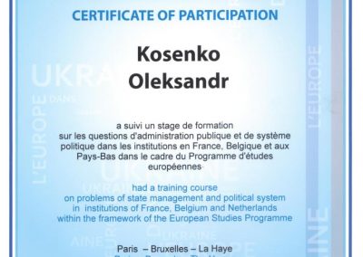 Сертифікат Олександра Косенка. Курс проблем державного управління. 2014 рік